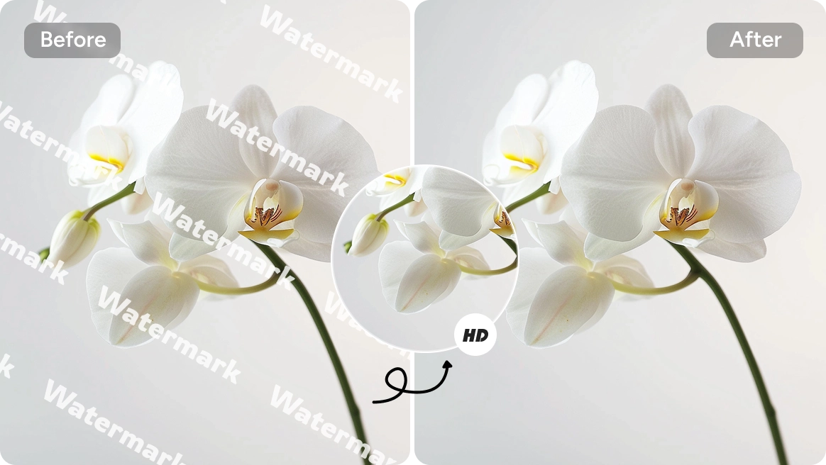 AI Ease で白い花の画像から透かしを削除する前後の効果